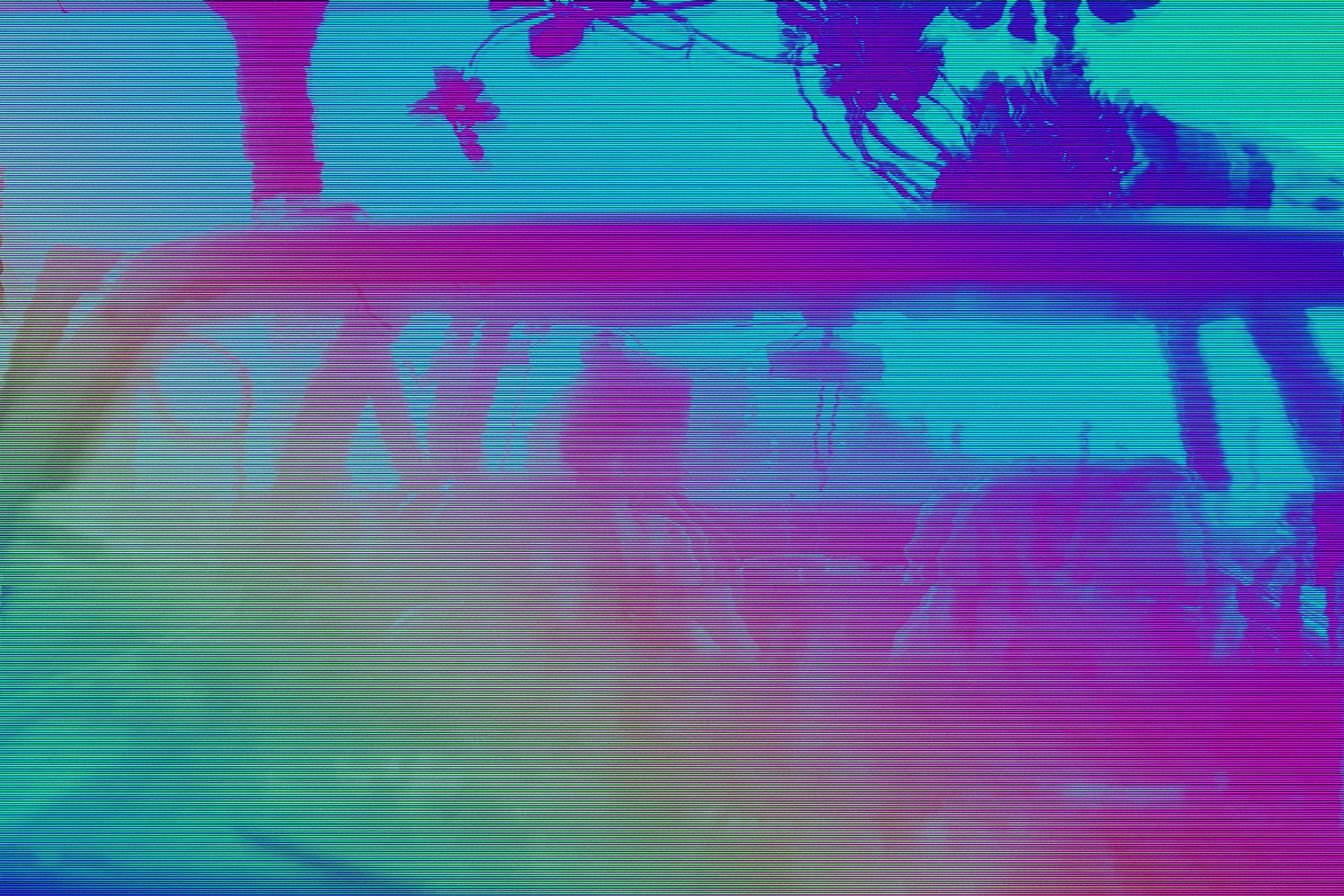 WHAAAAT…Chill Monsters 2.mnstr